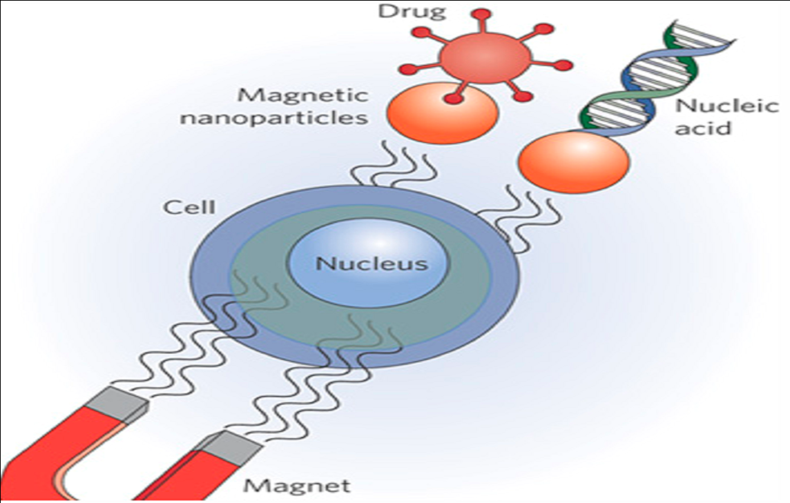 dẫn truyền thuốc của công nghệ nano