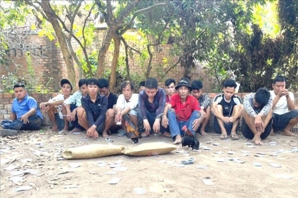 Tụ điểm đá gà tại Đồng Nai đã bị triệt phá